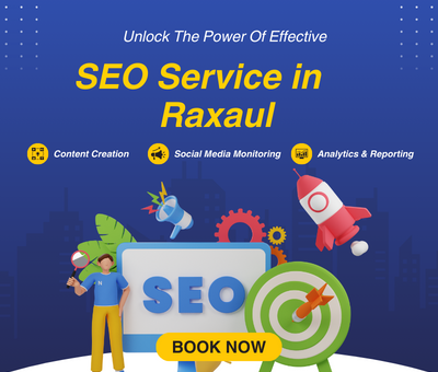 SEO Services in Raxaul