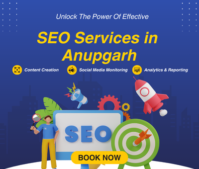 SEO Services in Anupgarh