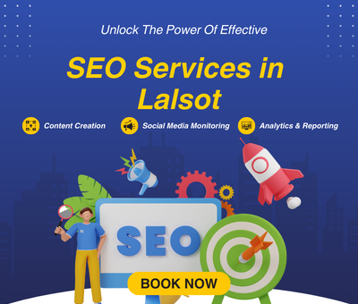 SEO Services in Lalsot