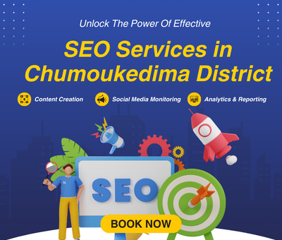 SEO Services in Chumoukedima District