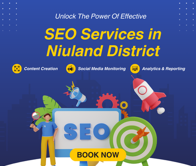 SEO Services in Niuland District