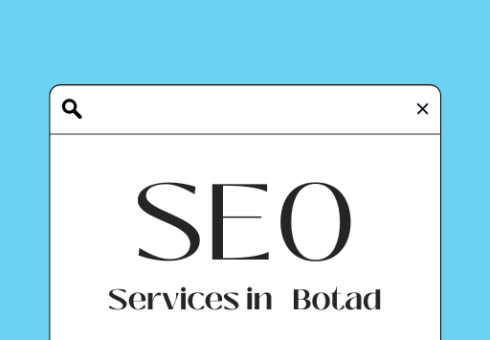 SEO Services in Botad