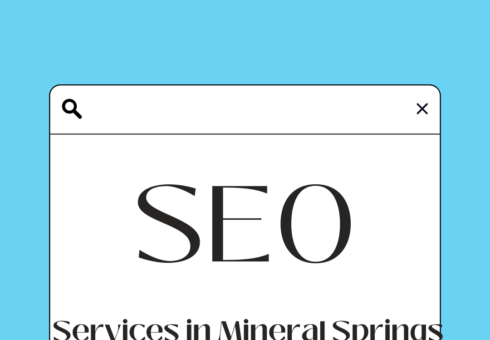 SEO Services in Mineral Springs