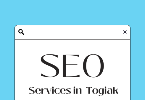 SEO Services in Togiak